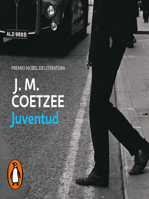 cover image of Juventud
